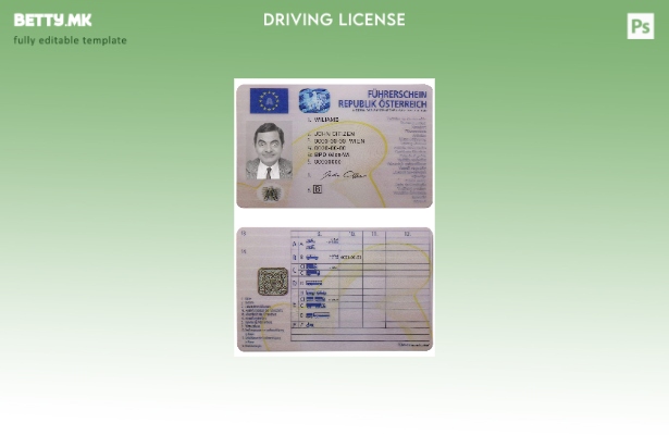 Шаблон за возачка дозвола во Австрија во модерен стил